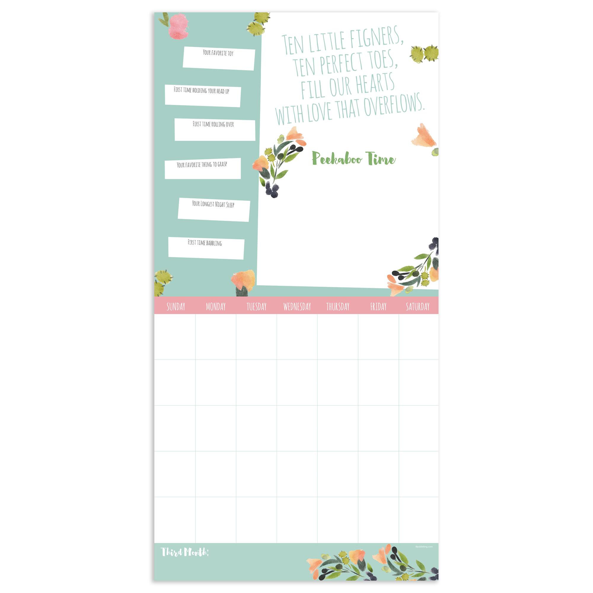 TF Publishing Baby's First Year Undated Keepsake Wall Calendar
